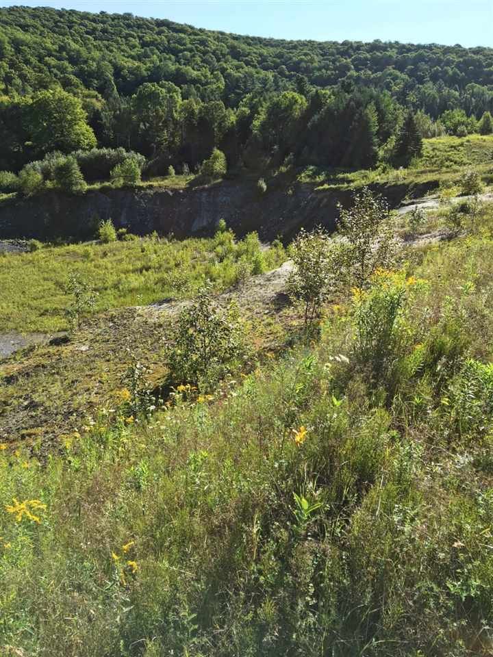 4131 State Rte 16, Glover, VT 05839